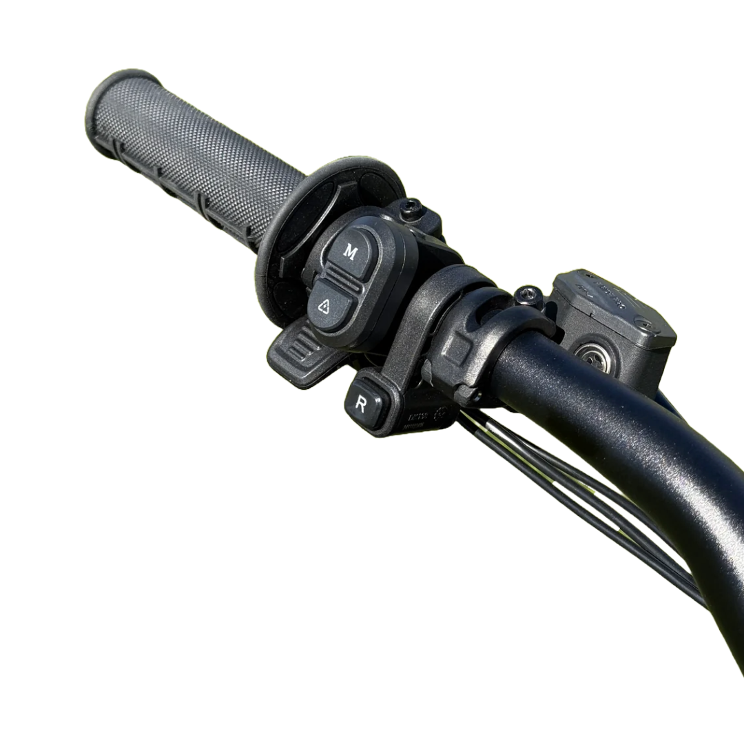 E Ride Pro SR Electric Bike