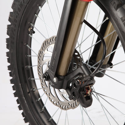 E Ride Pro SS 3.0 Electric Bike - 2026