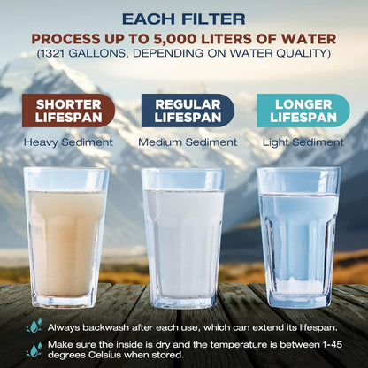 Water Filter Straw