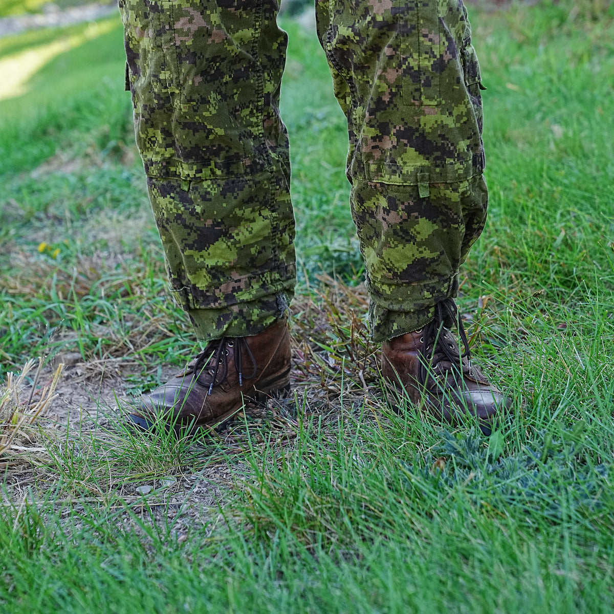 Issued Canadian CADPAT Field Pants