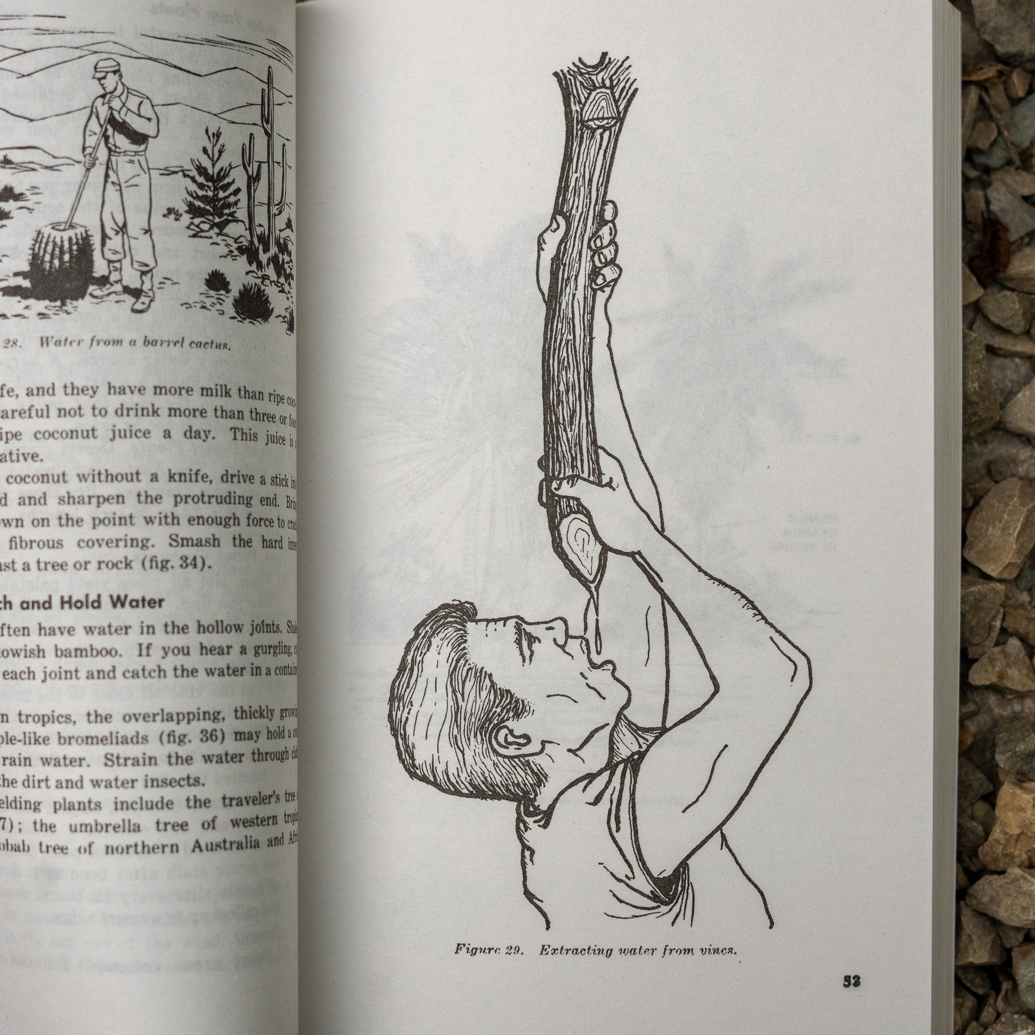 US Army Survival Manual