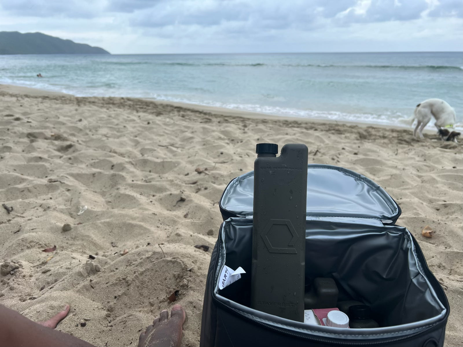 ICEFLASK® 16.9oz (500ml) Cooling, Heating & Hydration Canteen