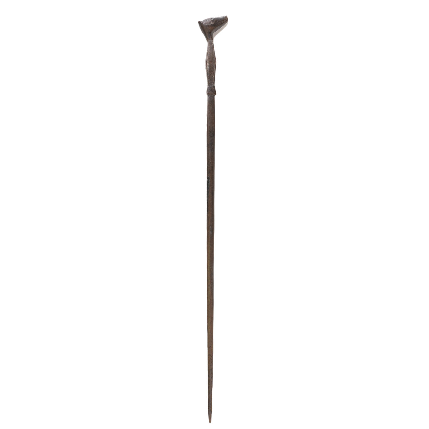 Solomon Islands Cane: Dog
