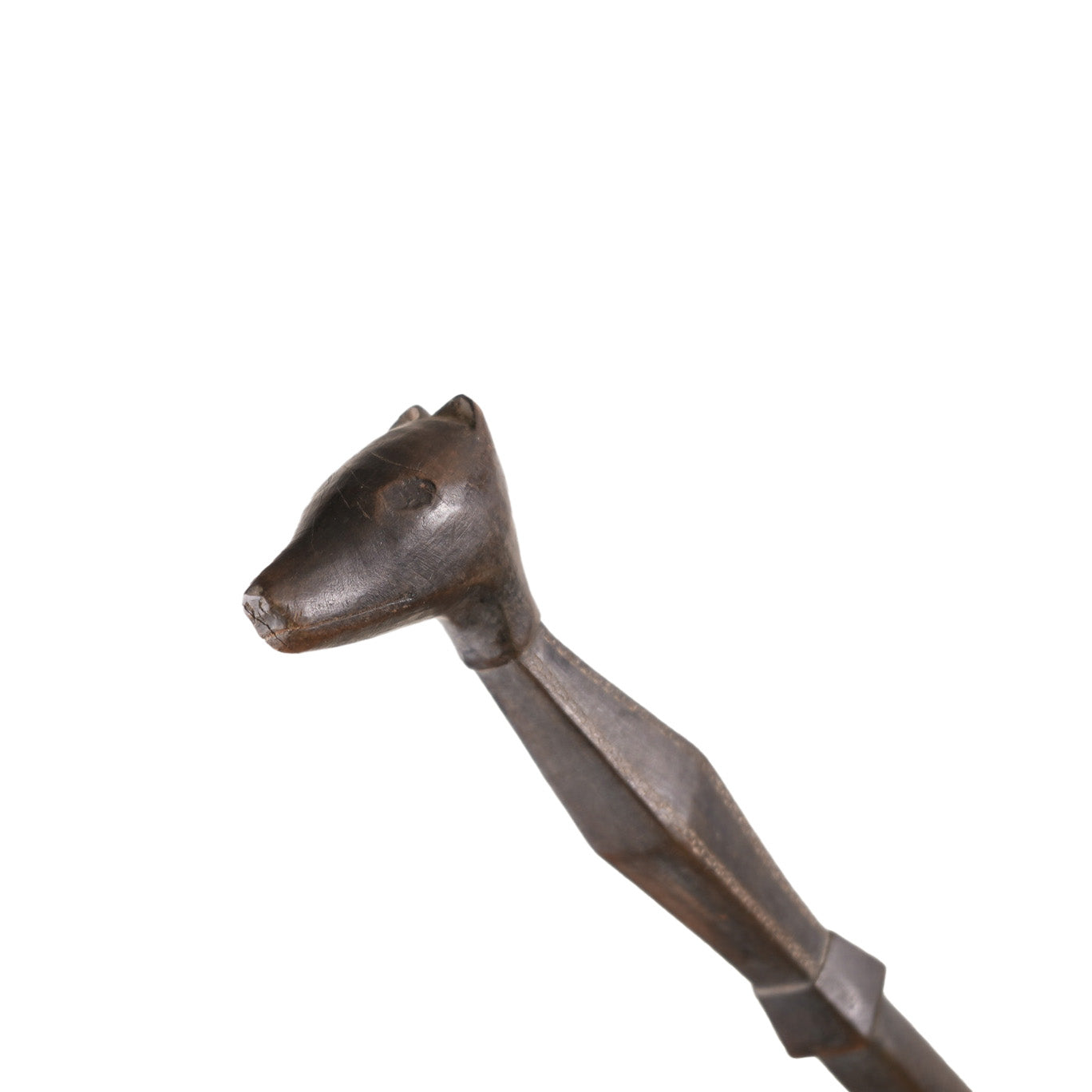 Solomon Islands Cane: Dog