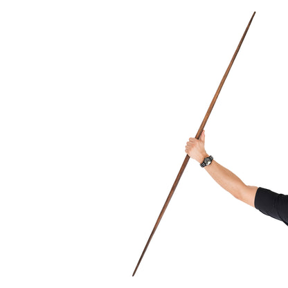 Spear?/Stick from the Solomon Islands