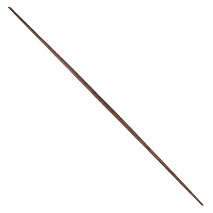 Spear?/Stick from the Solomon Islands
