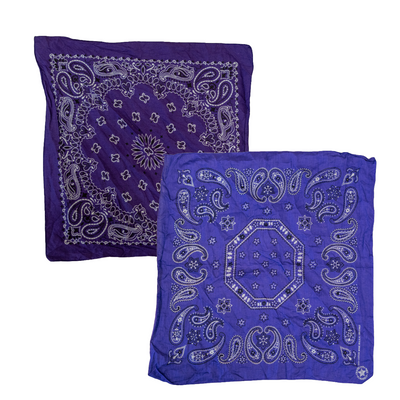 Vintage USA-Made Paisley Bandana