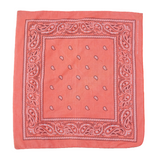 Vintage USA-Made Paisley Bandana