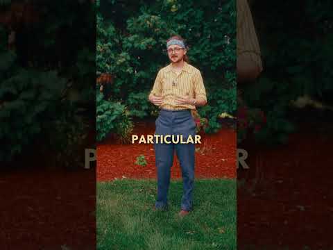 Issued Swiss Buckle-Back Wool Pants