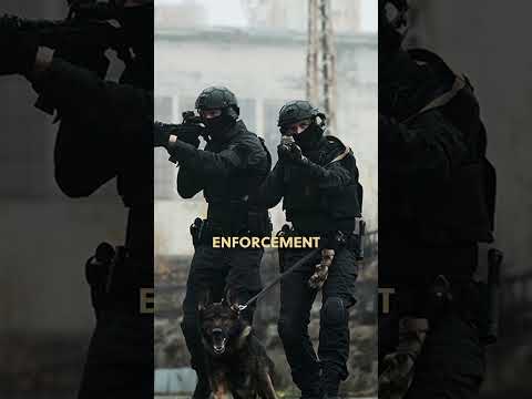Issued British MTP Combat Pants