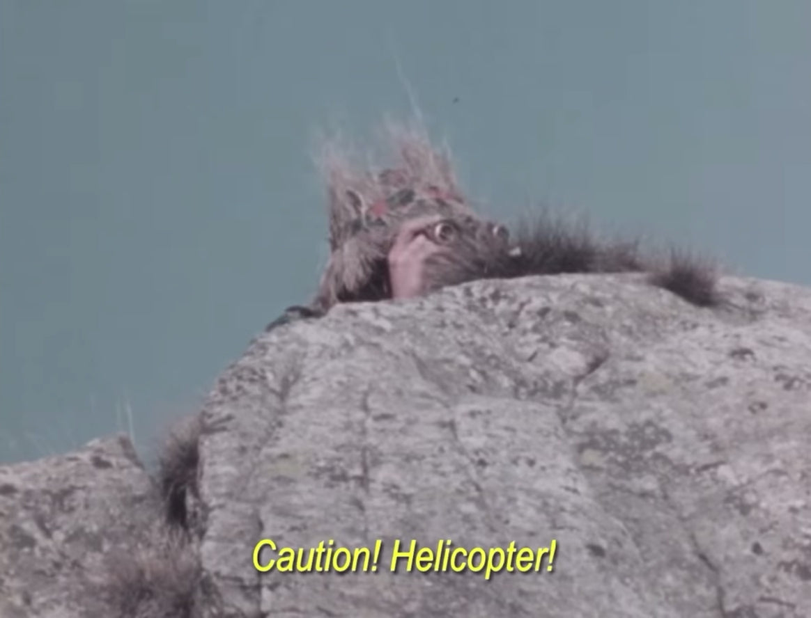Swiss soldiers shooting at helicopter while wearing TAZ 57 Alpenflage M61/70 Field Jackets